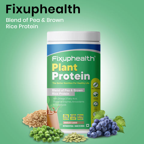 Fixuphealth Vegan Plant Protein Blend Of Pea Mung bean & Brown Rice Energy Booster to Support Muscle Growth 500 gram Minty Chocolate Flavour