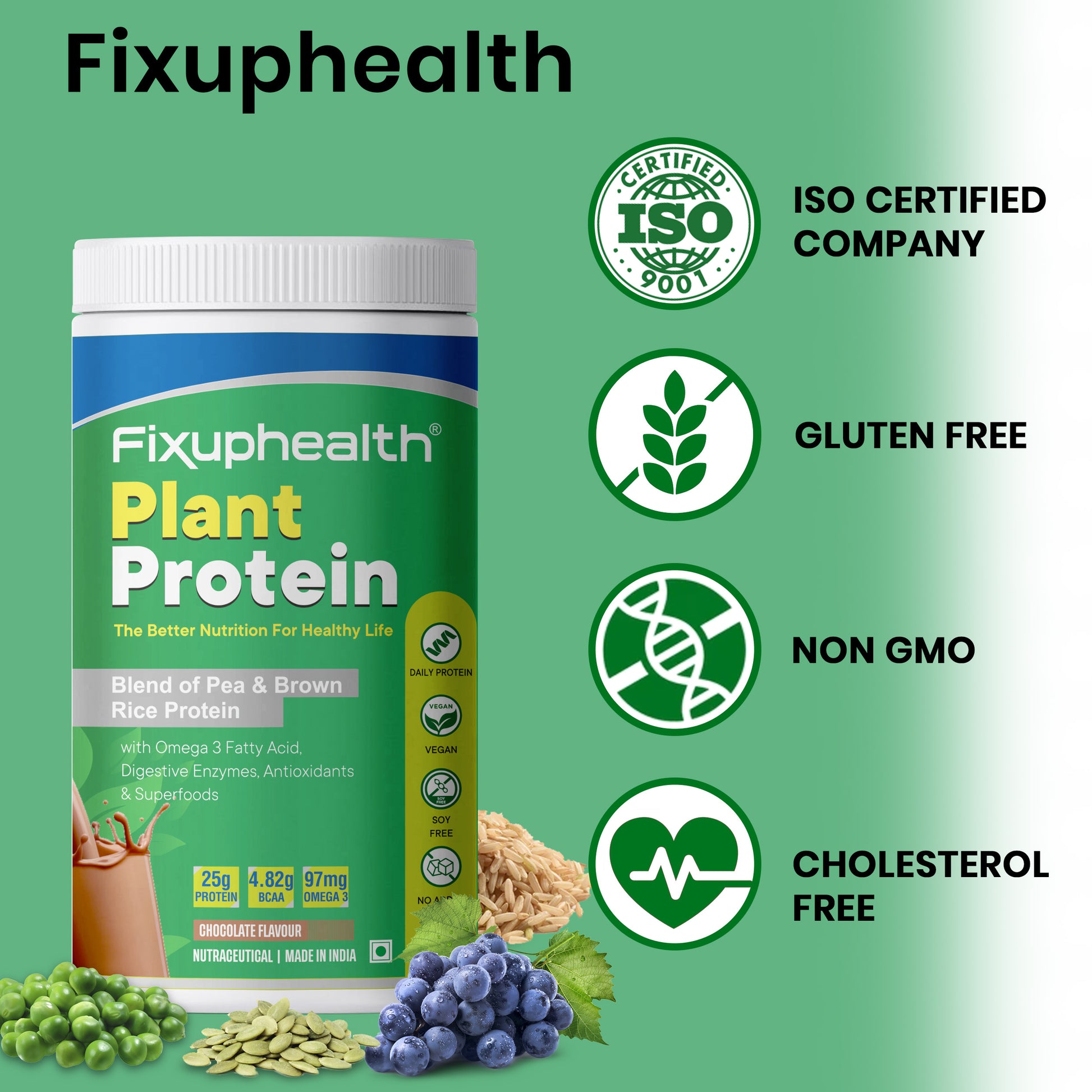 Plant Protein Blend of Pea & Brown Rice protein