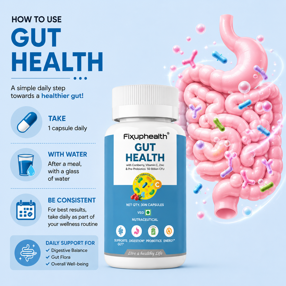 Gut Health Probiotic Capsules | 50 Billion CFU | 20 Probiotic Strains with Prebiotics, Cranberry, Vitamin C & Zinc | 30 Capsules