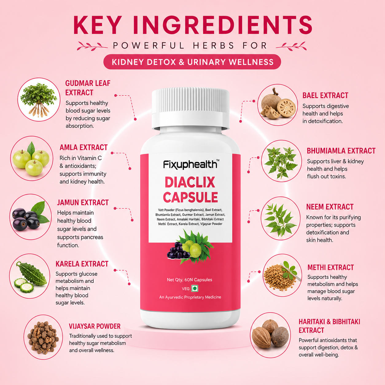Diaclix Ayurvedic Capsules | Proprietary Herbal Blend with Gymnema, Jamun, Gudmar, Neem & Amla | 60 Capsules