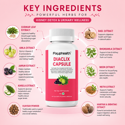 Diaclix Ayurvedic Capsules | Proprietary Herbal Blend with Gymnema, Jamun, Gudmar, Neem & Amla | 60 Capsules